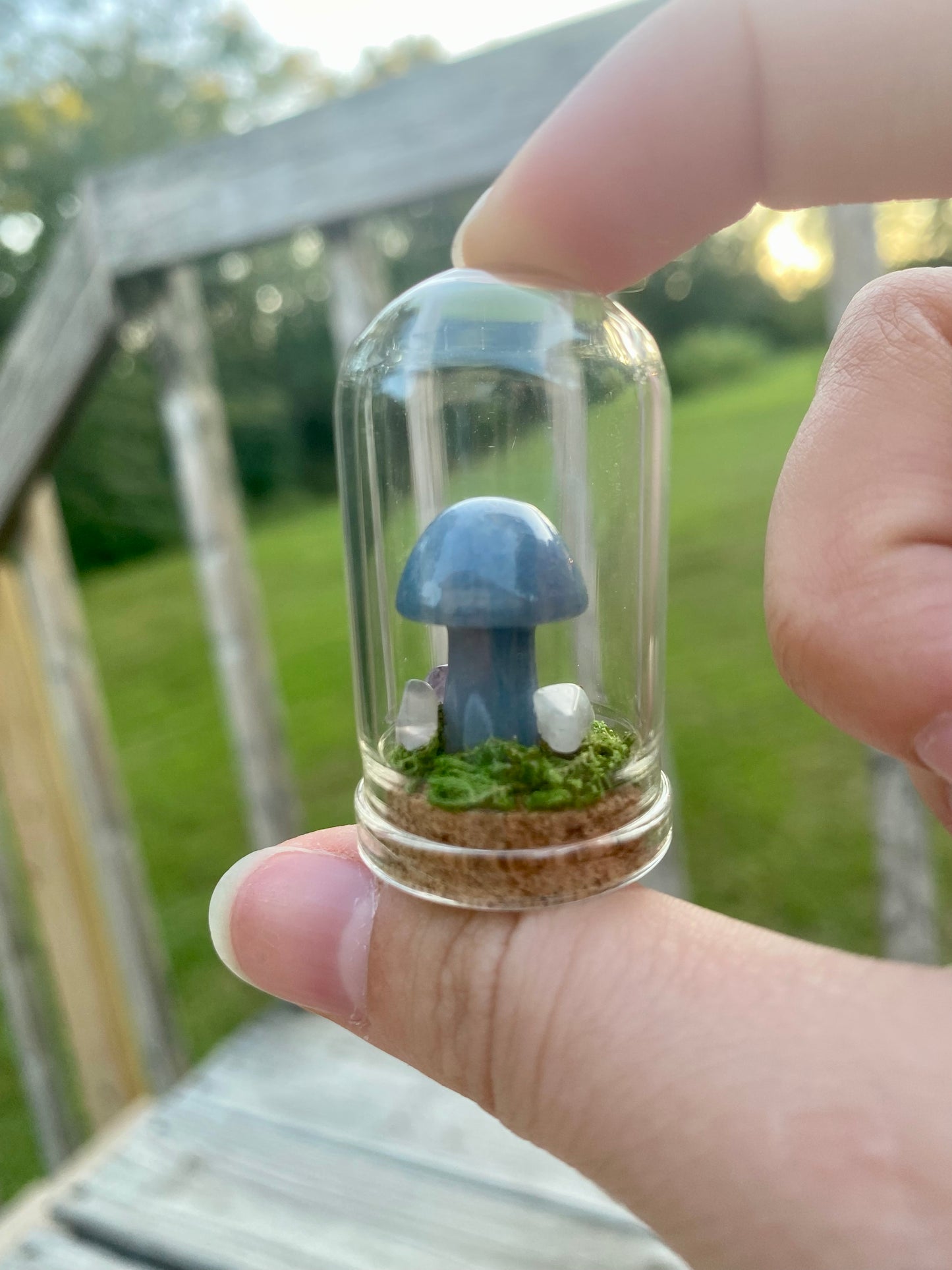 Terrarium Crystal Mushrooms