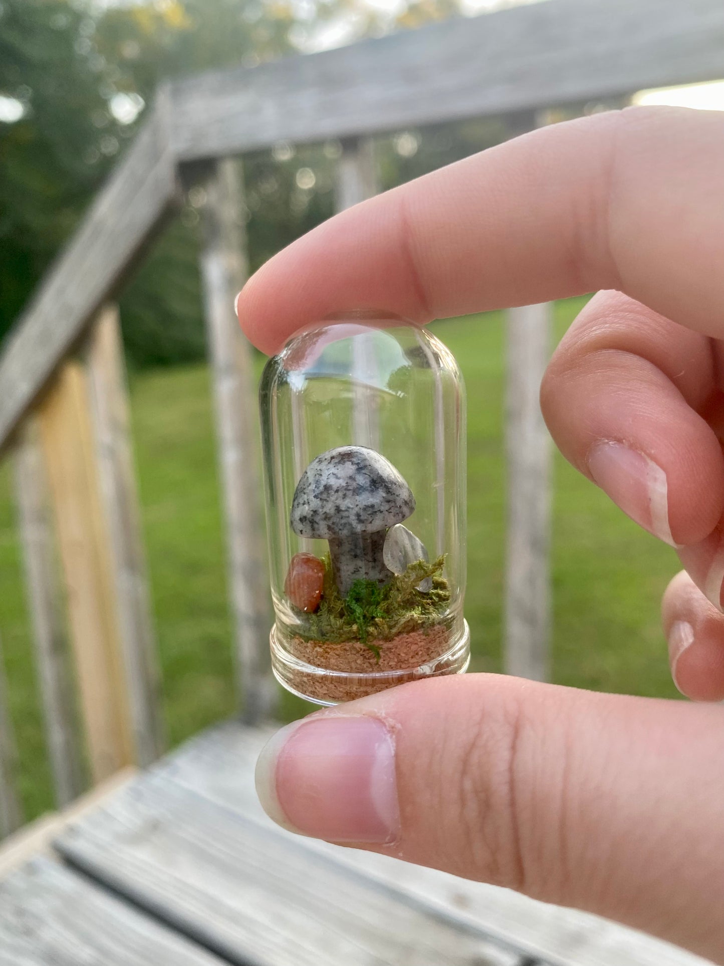 Terrarium Crystal Mushrooms