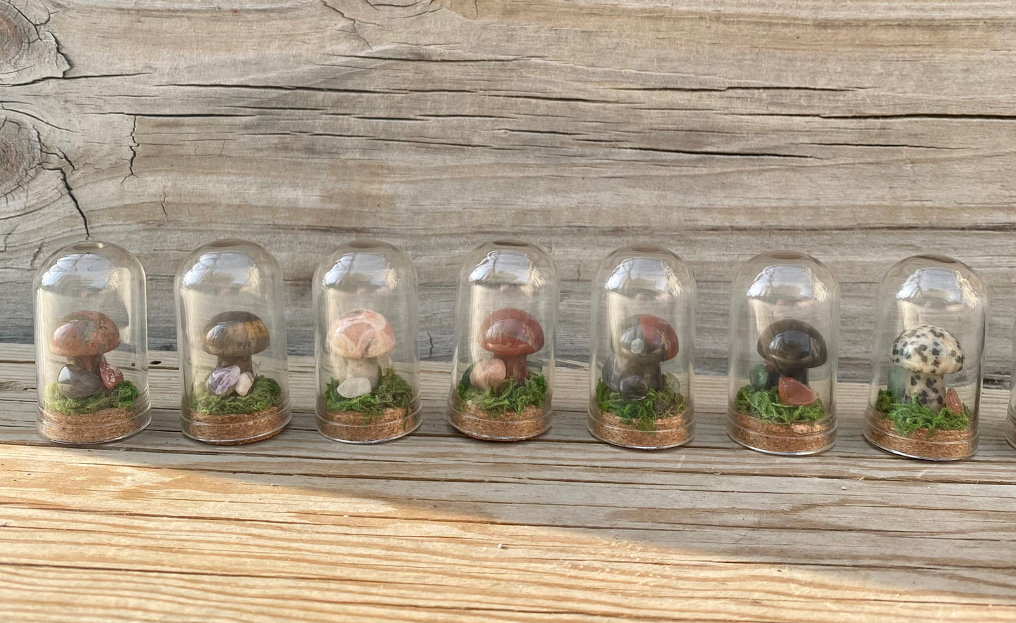 Terrarium Crystal Mushrooms