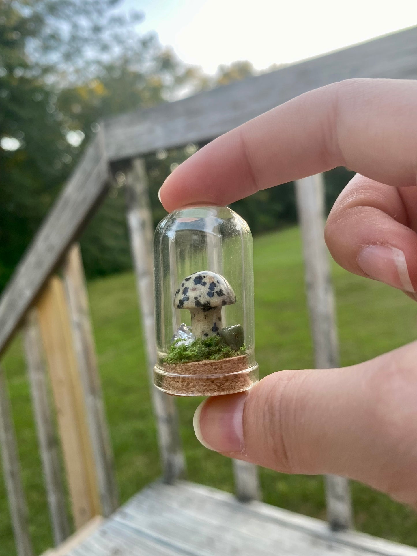 Terrarium Crystal Mushrooms