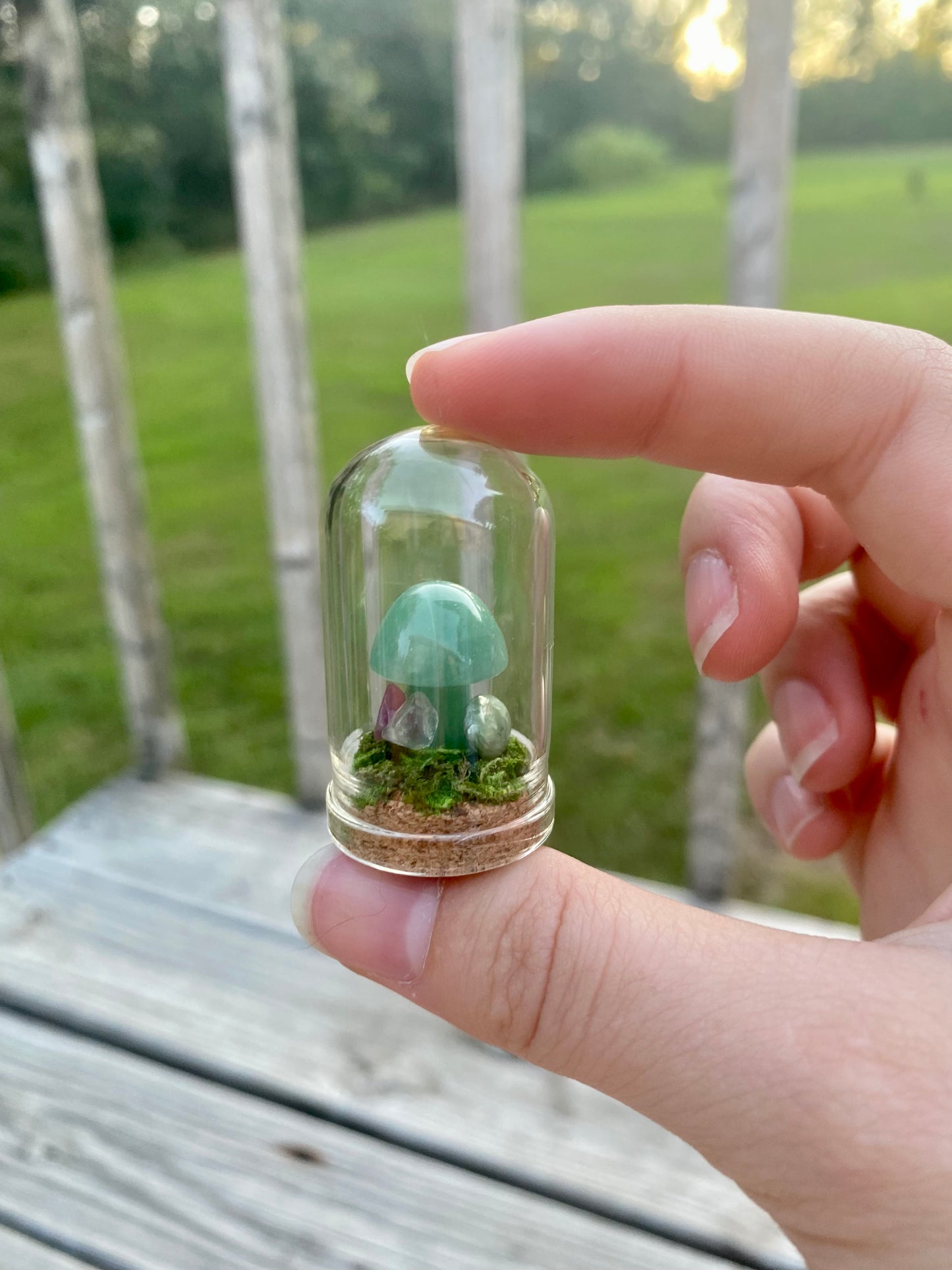 Terrarium Crystal Mushrooms