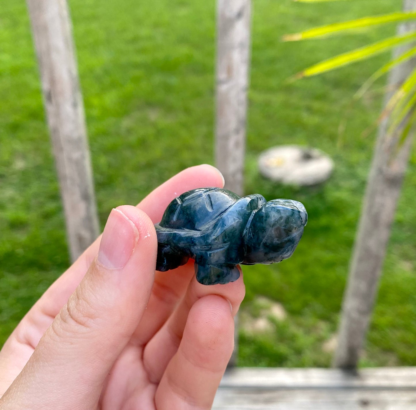 Crystal Turtle Carving