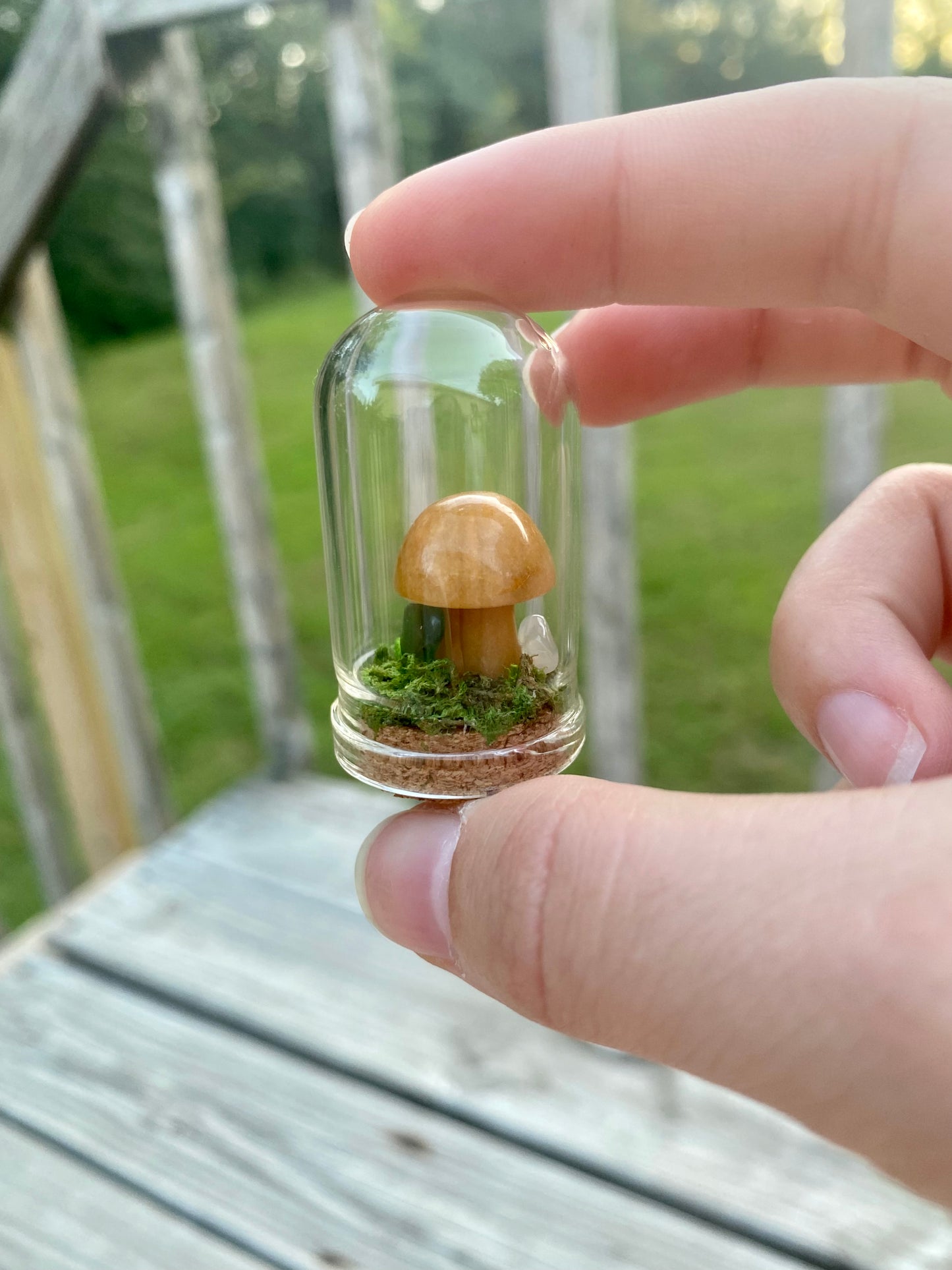 Terrarium Crystal Mushrooms