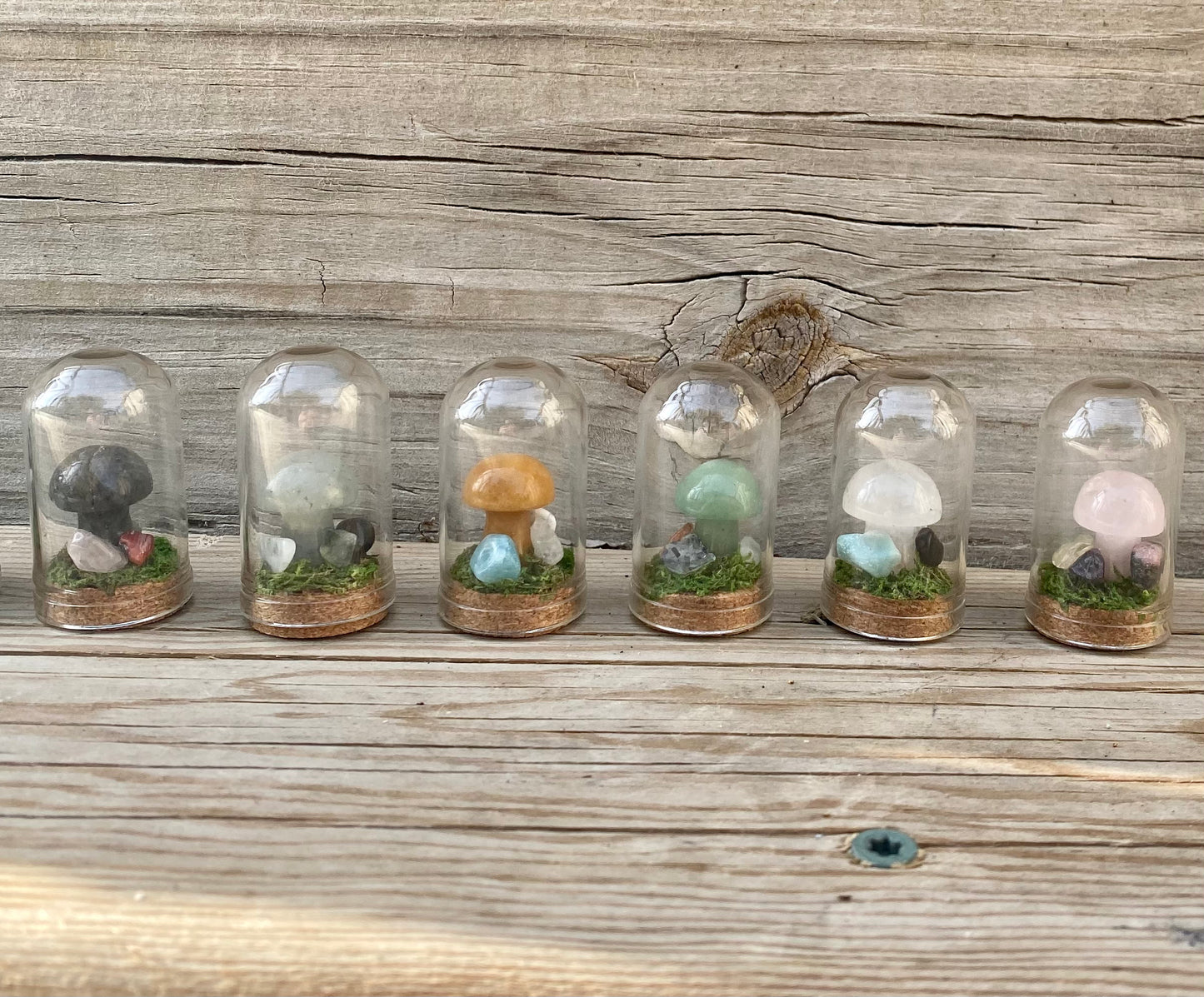 Terrarium Crystal Mushrooms