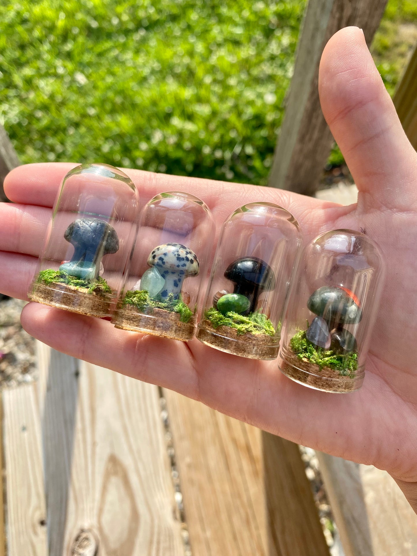 Terrarium Crystal Mushrooms