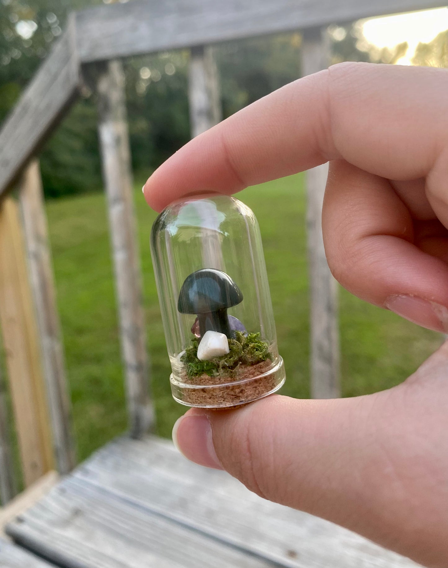 Terrarium Crystal Mushrooms