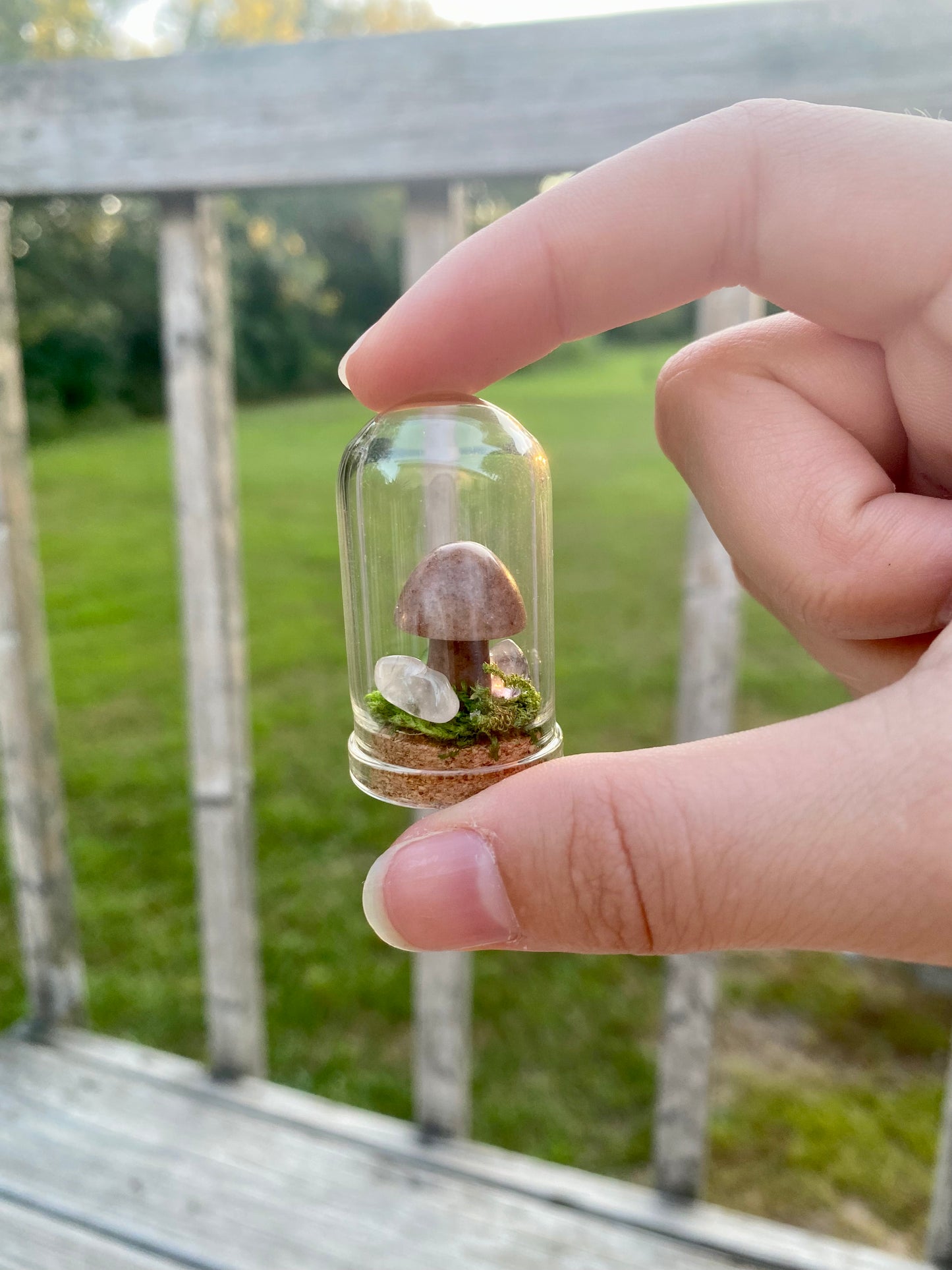 Terrarium Crystal Mushrooms