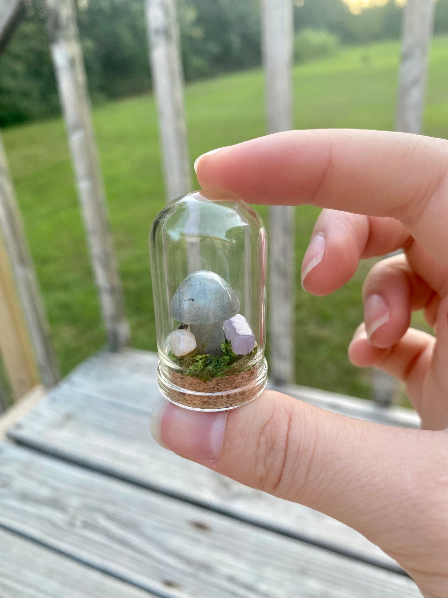 Terrarium Crystal Mushrooms