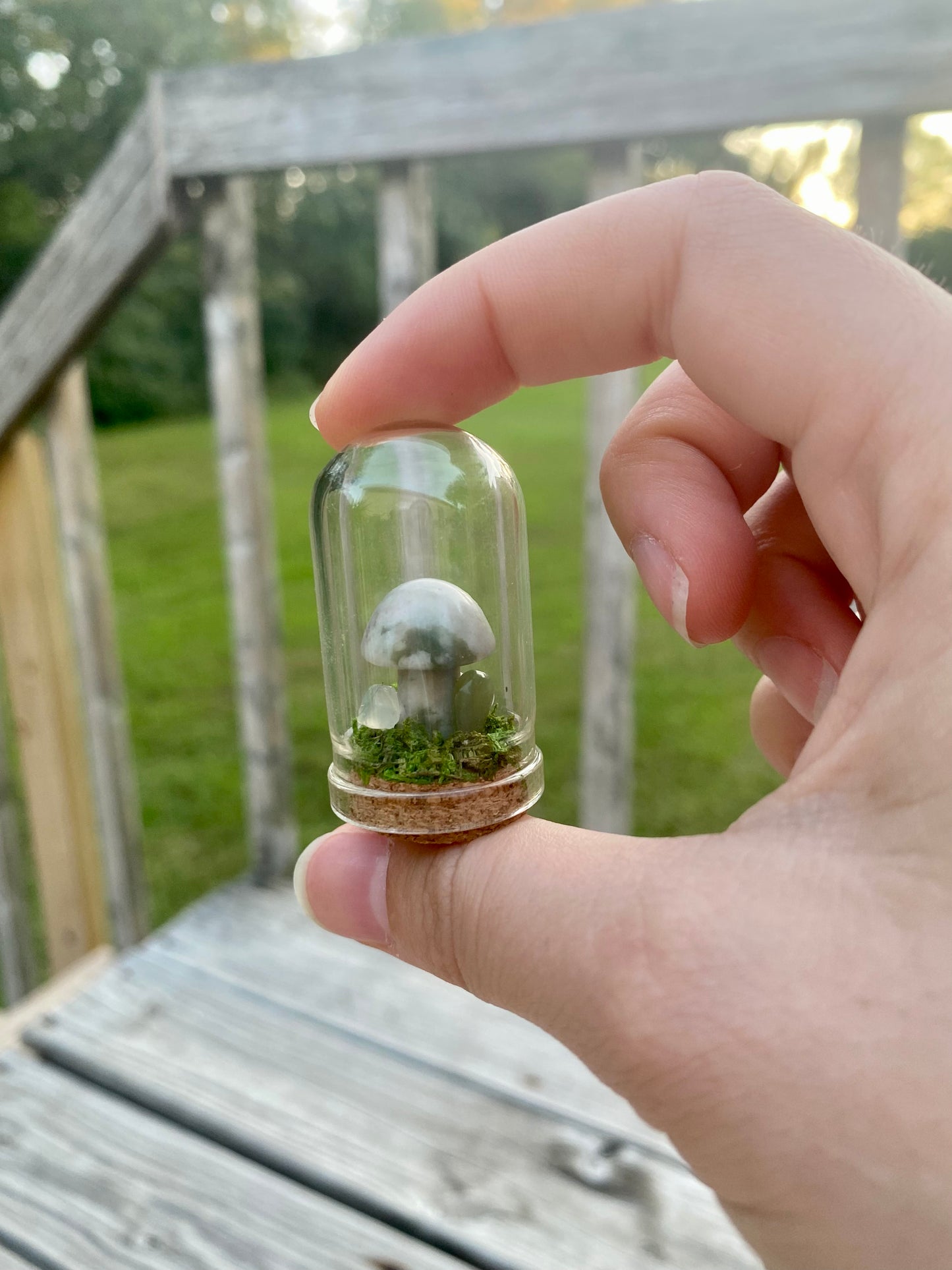 Terrarium Crystal Mushrooms