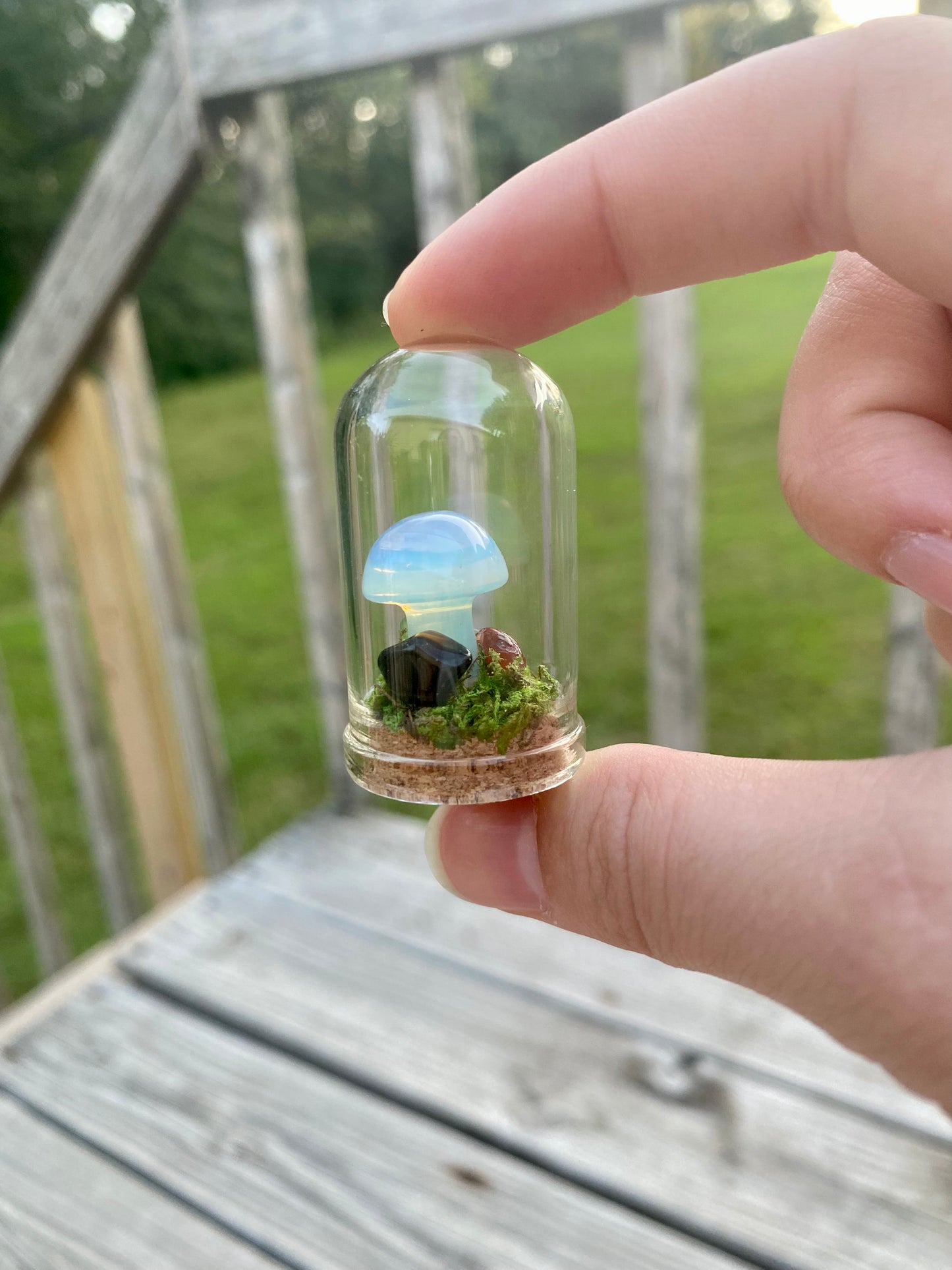 Terrarium Crystal Mushrooms