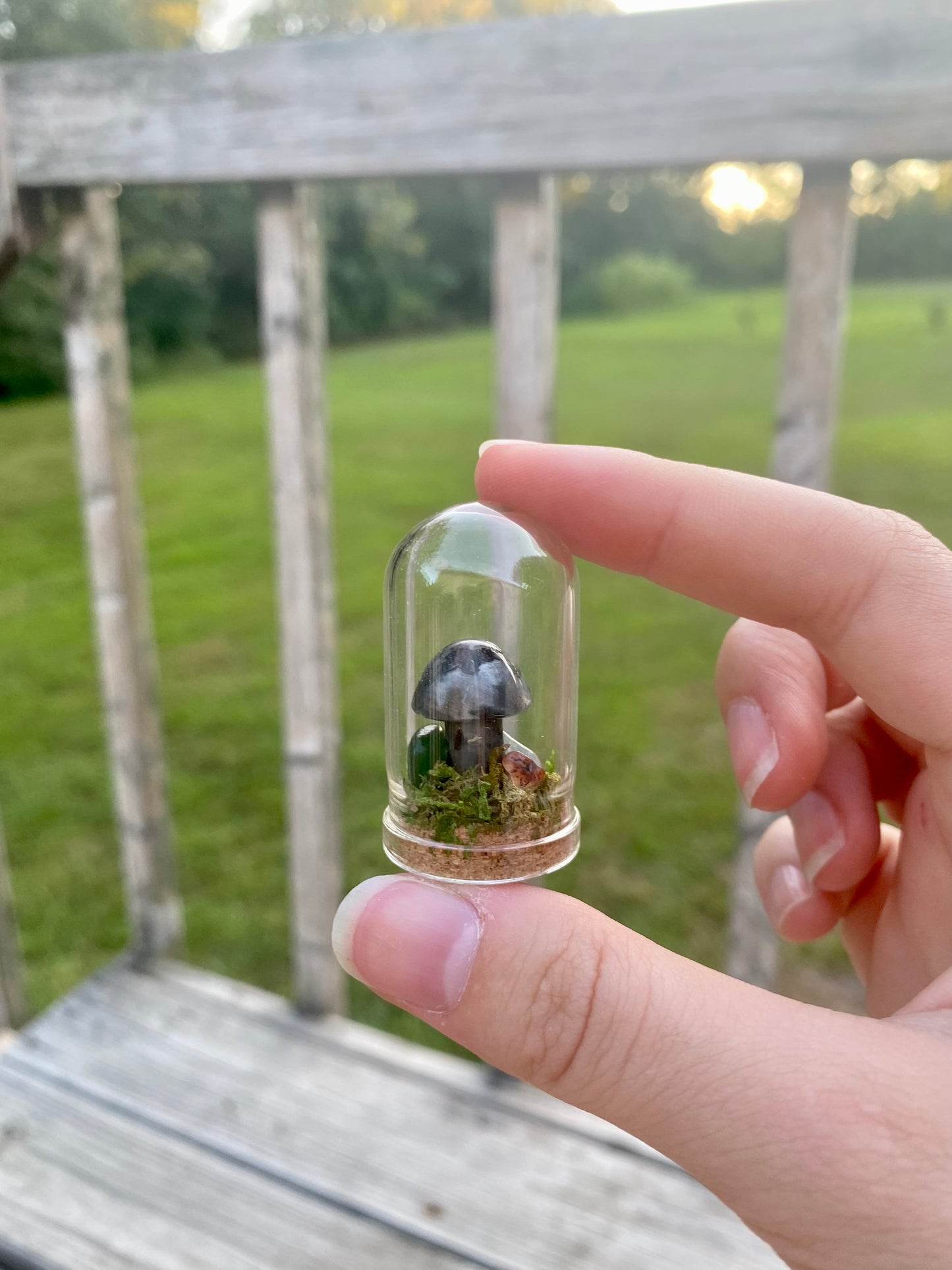 Terrarium Crystal Mushrooms