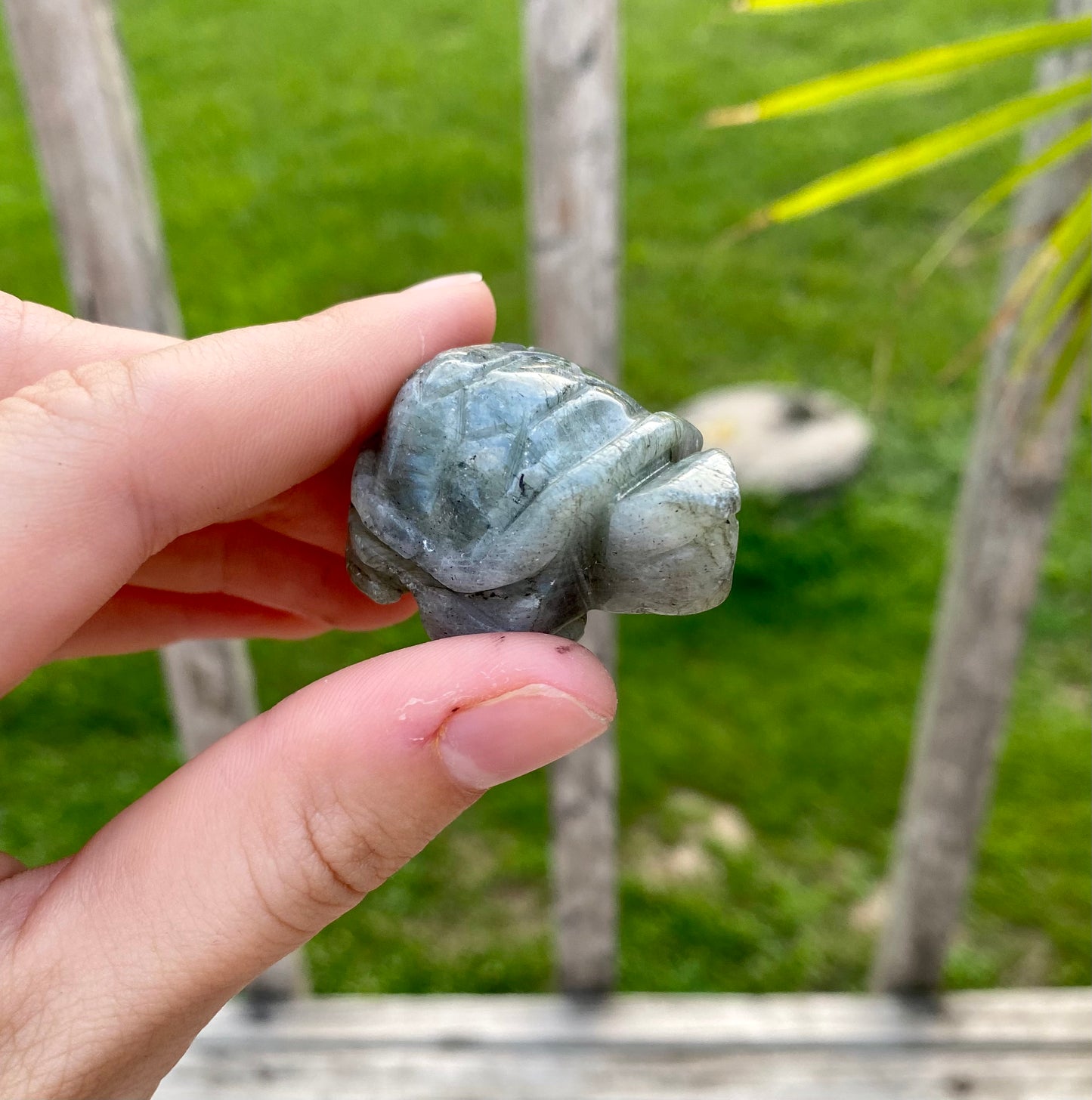 Crystal Turtle Carving