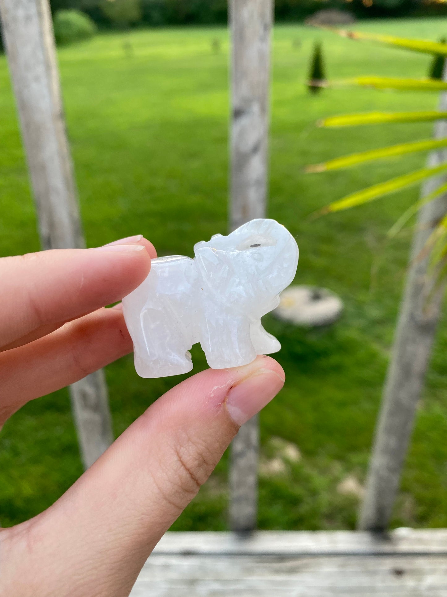 Crystal Elephant Carvings