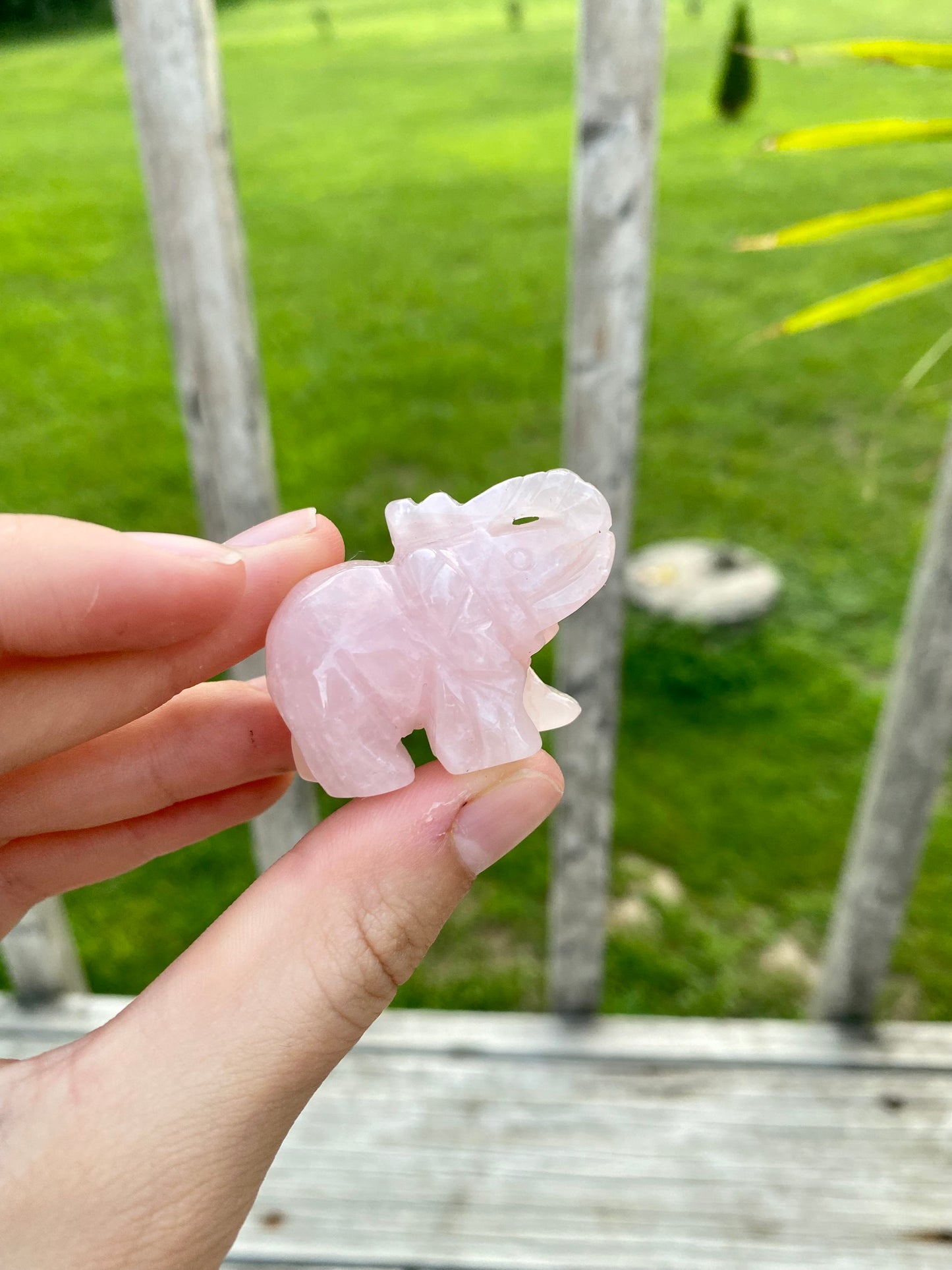 Crystal Elephant Carvings