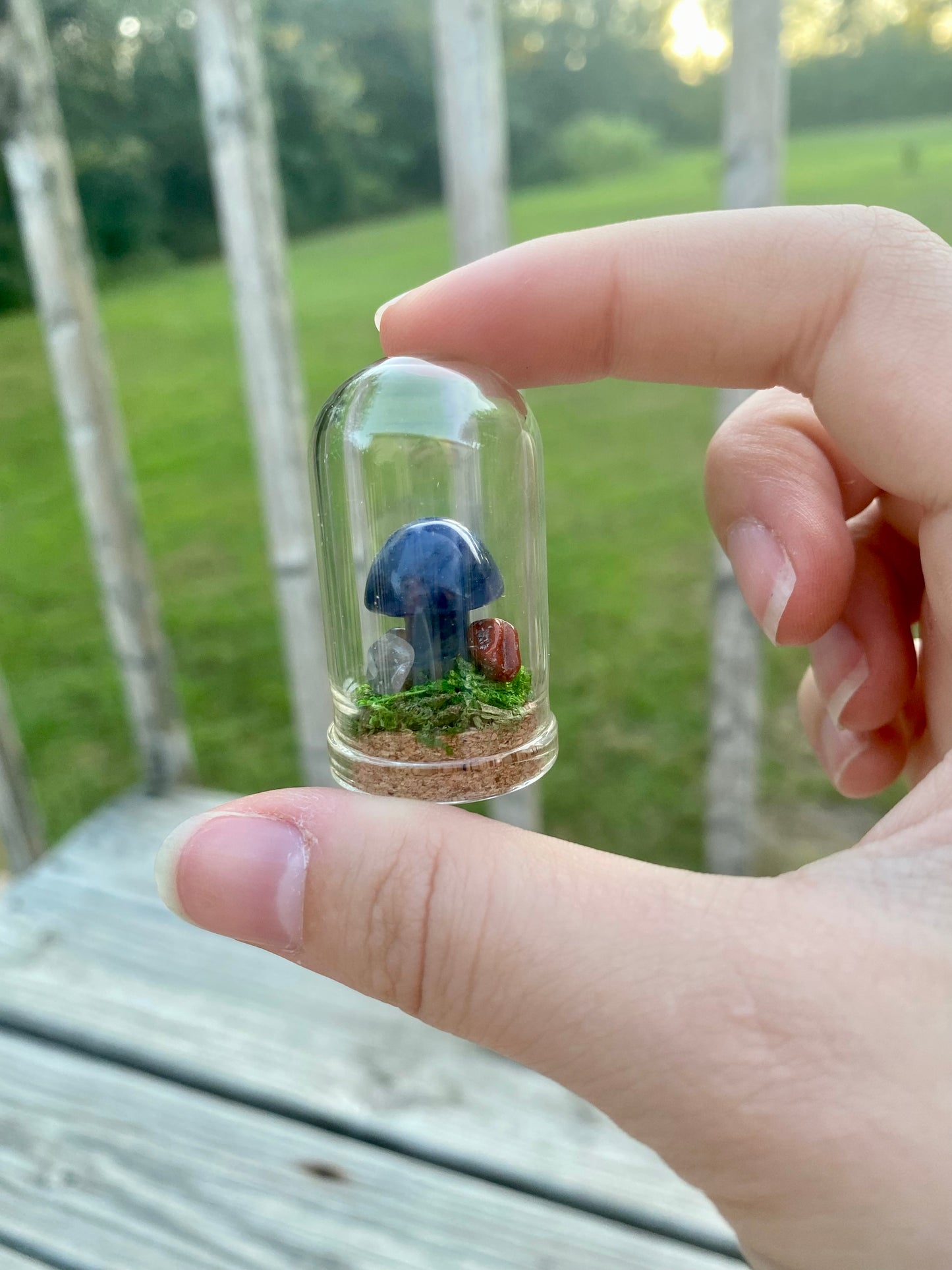 Terrarium Crystal Mushrooms