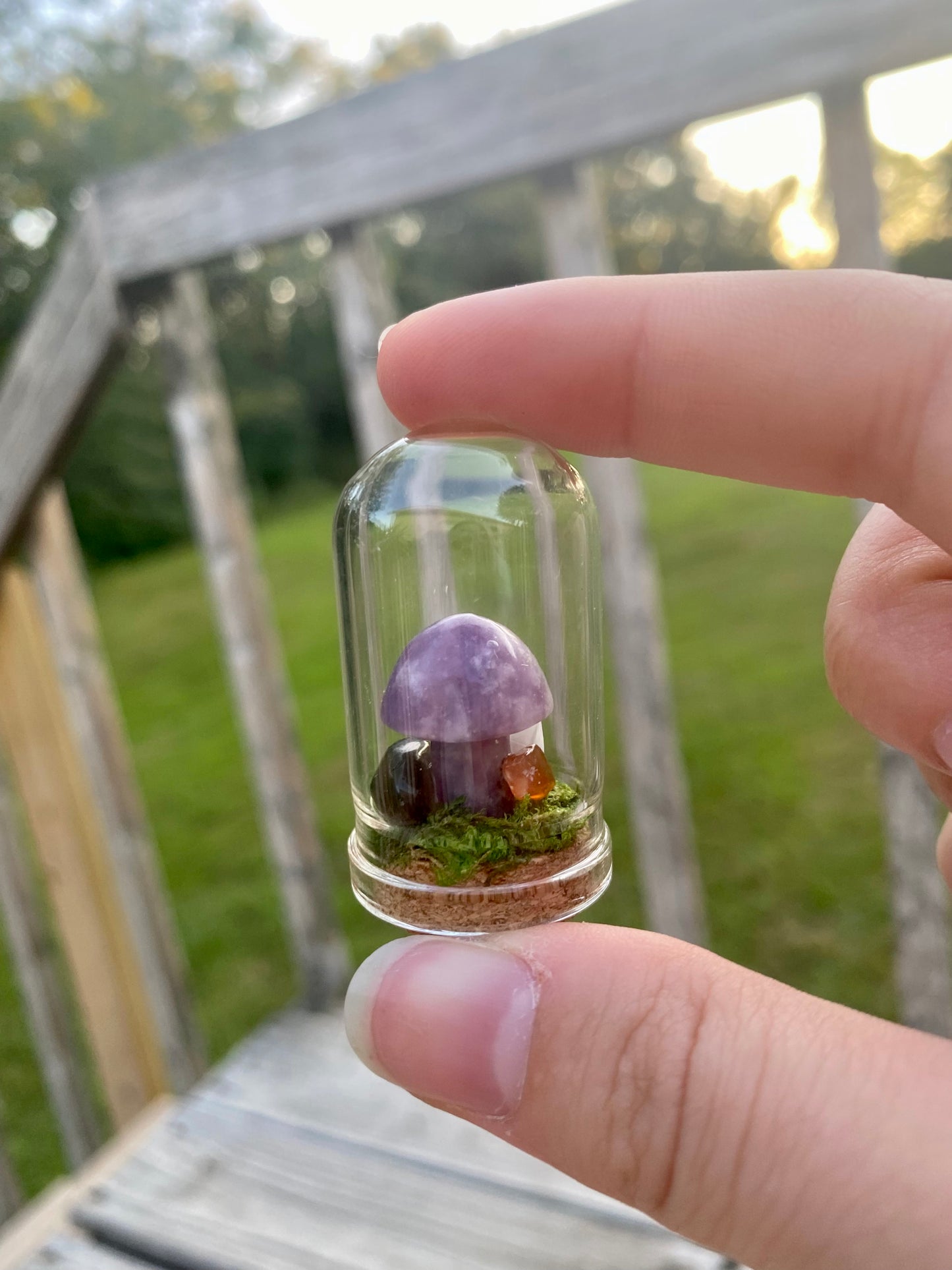 Terrarium Crystal Mushrooms