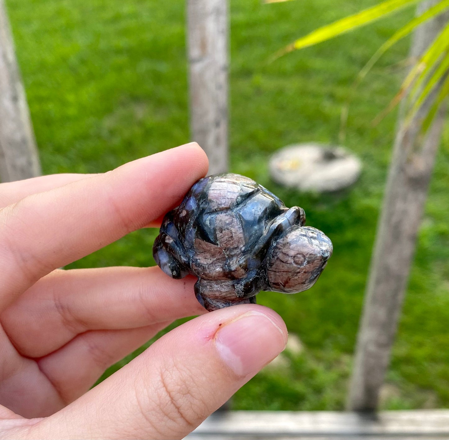 Crystal Turtle Carving