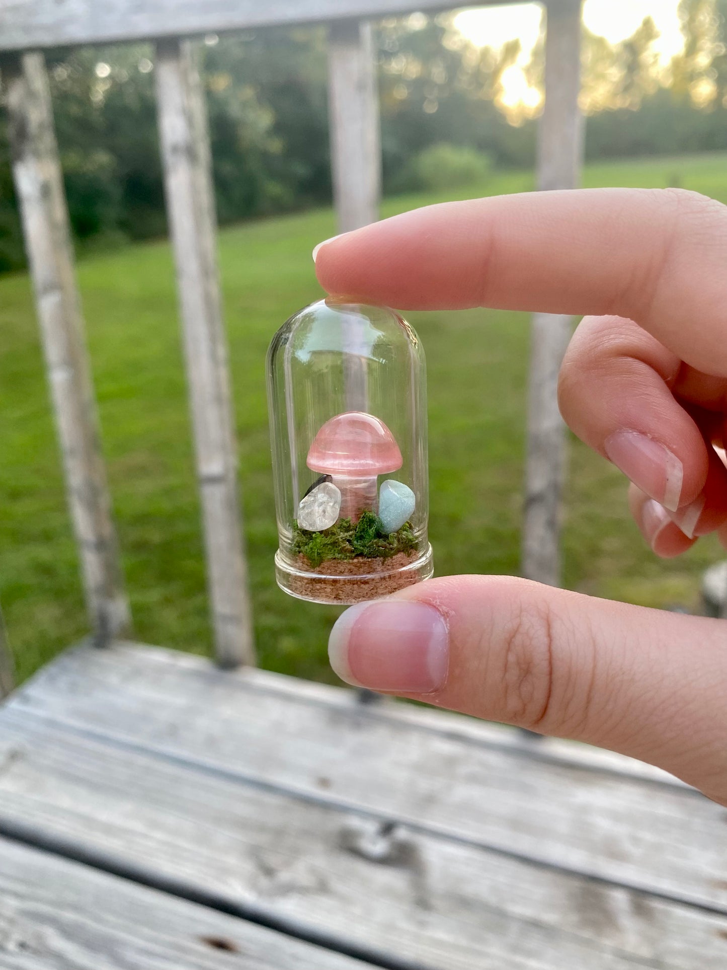 Terrarium Crystal Mushrooms