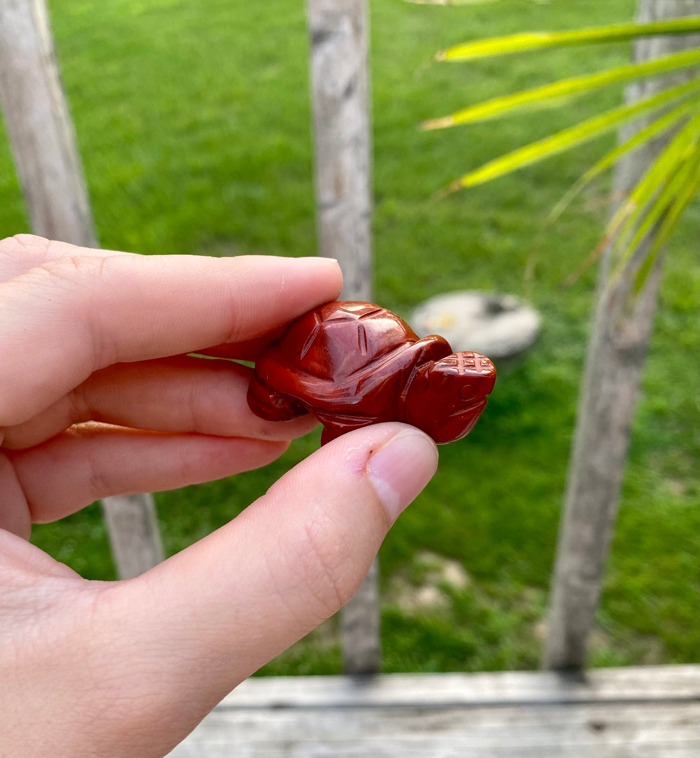 Crystal Turtle Carving